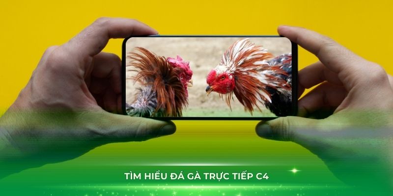 Tìm hiểu đá gà trực tiếp C4